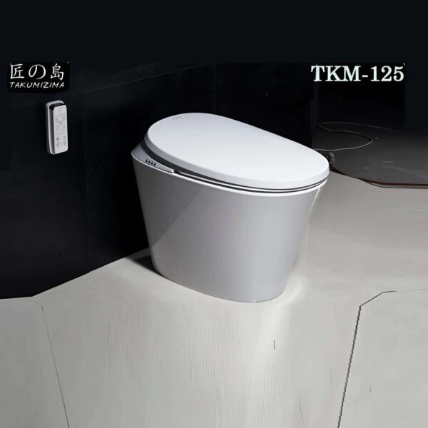 BỒN CẦU THÔNG MINH Takumizima TKM-125 - LanAnh